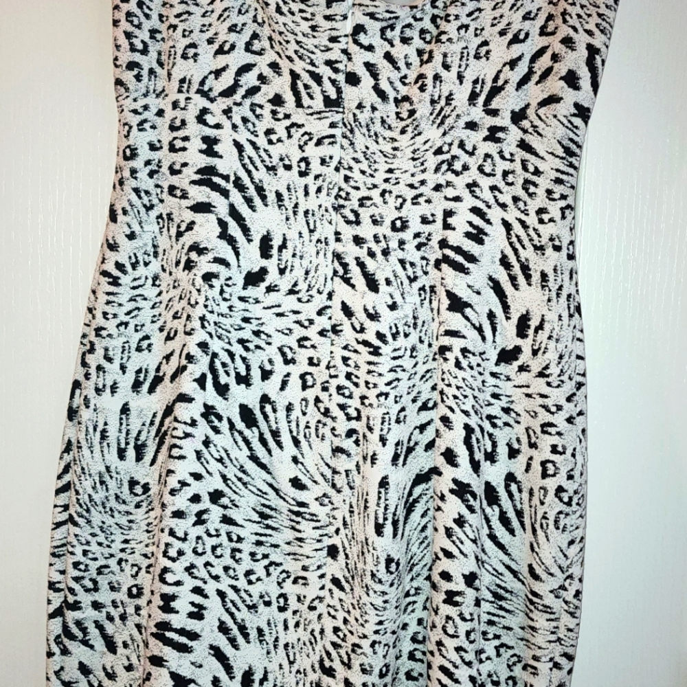 Cache Dress - Picture 4 of 8